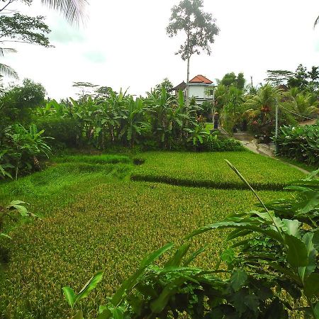 Mandala Hostel Ubud 外观 照片