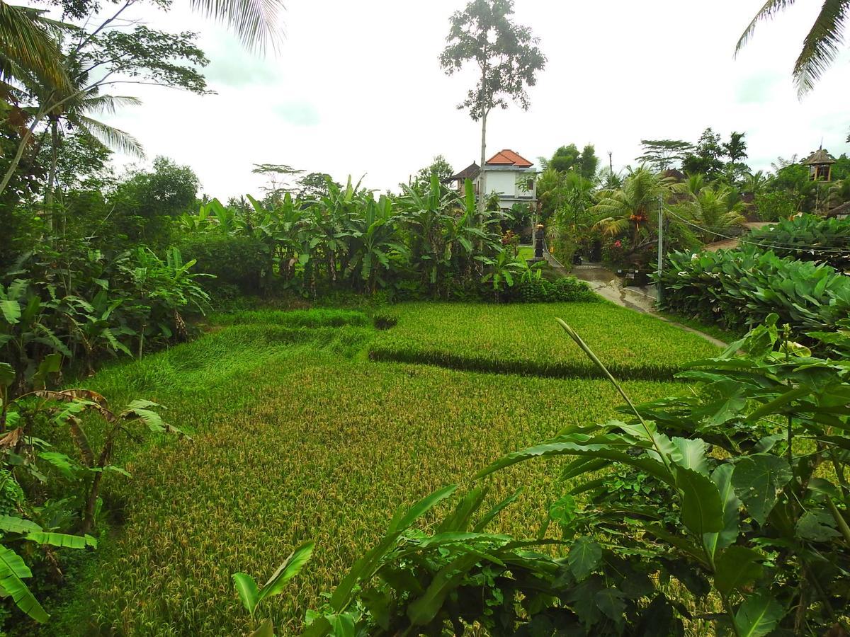 Mandala Hostel Ubud 外观 照片