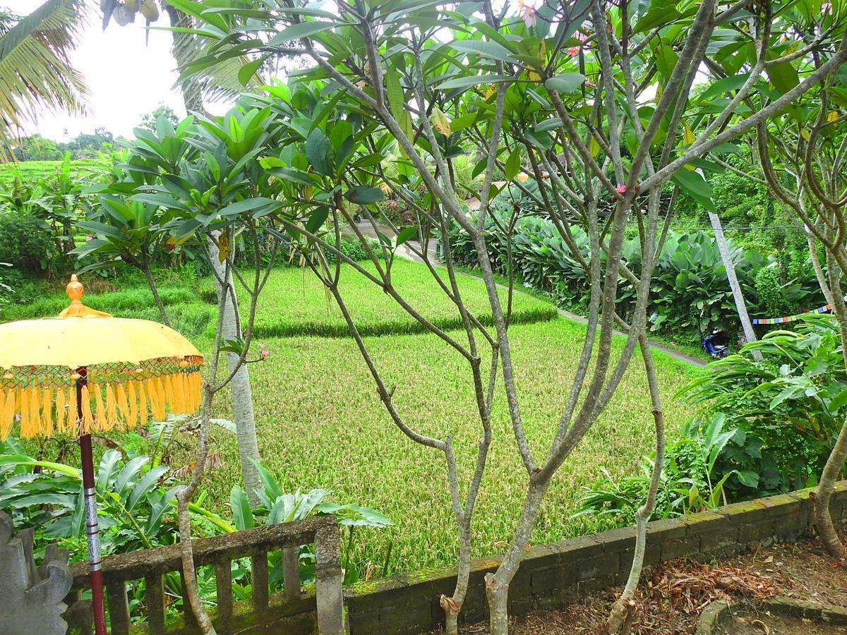 Mandala Hostel Ubud 外观 照片