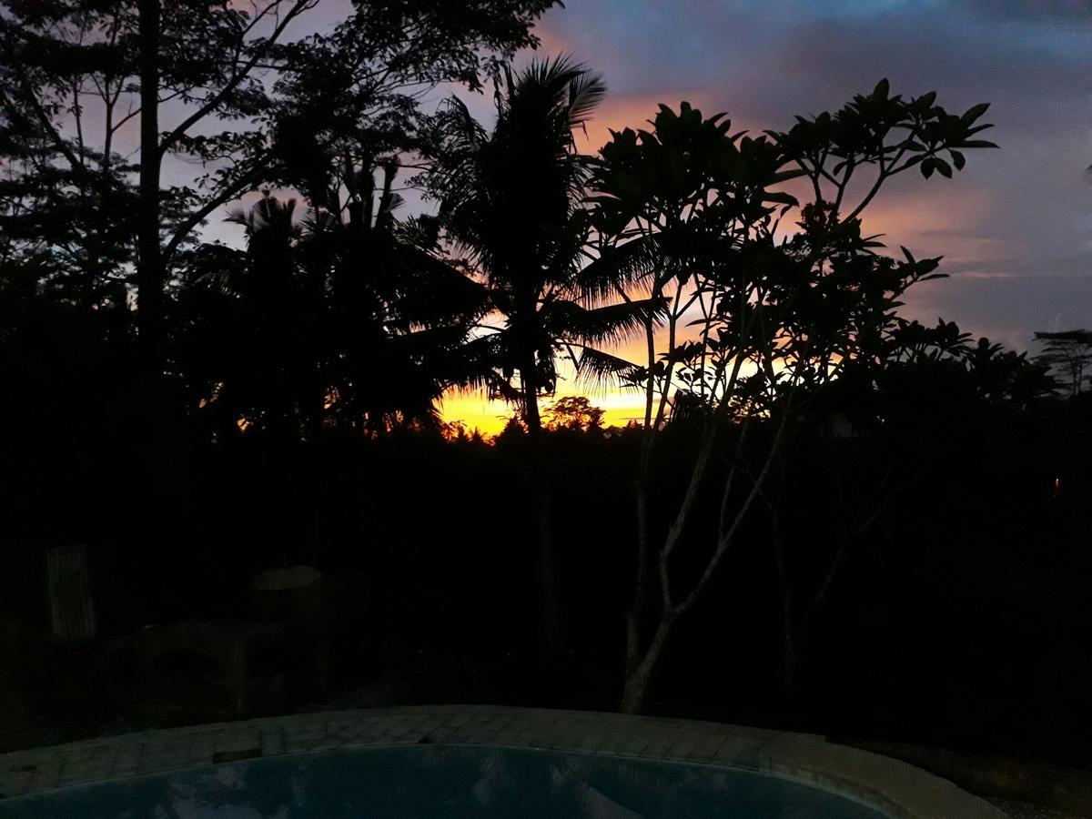 Mandala Hostel Ubud 外观 照片